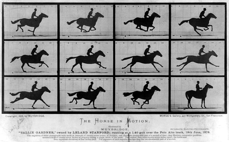 Eadweard Muybridge Galloping Horse in Motion, 1878