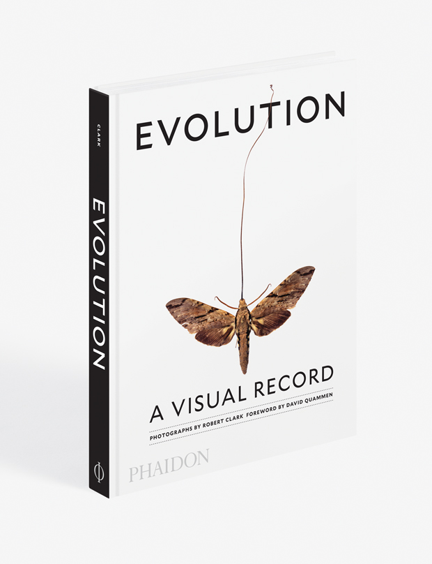 Evolution: A Visual Record