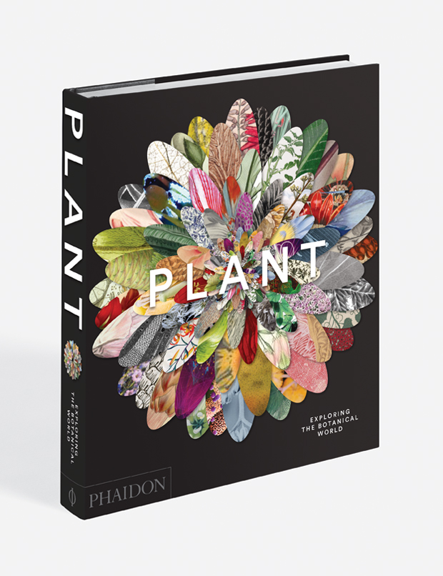 Plant: Exploring the Botanical World