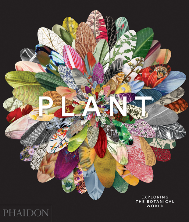 The cover of  Plant: Exploring the Botanical World