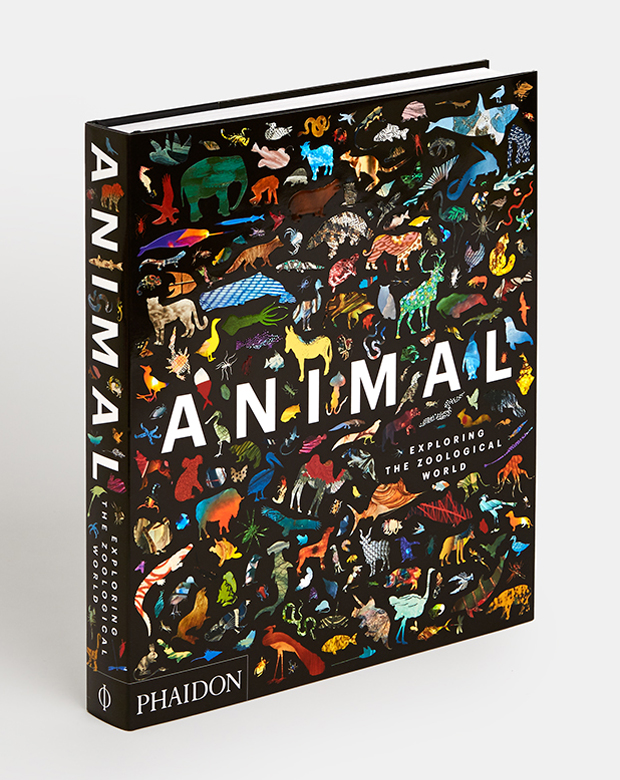 Animal: Exploring the Zoological World