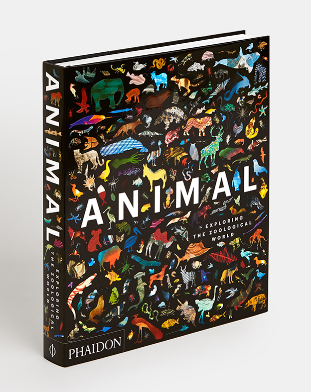 Animals: Exploring the Zoological World