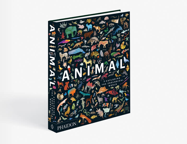 Animal: Exploring the Zoological World