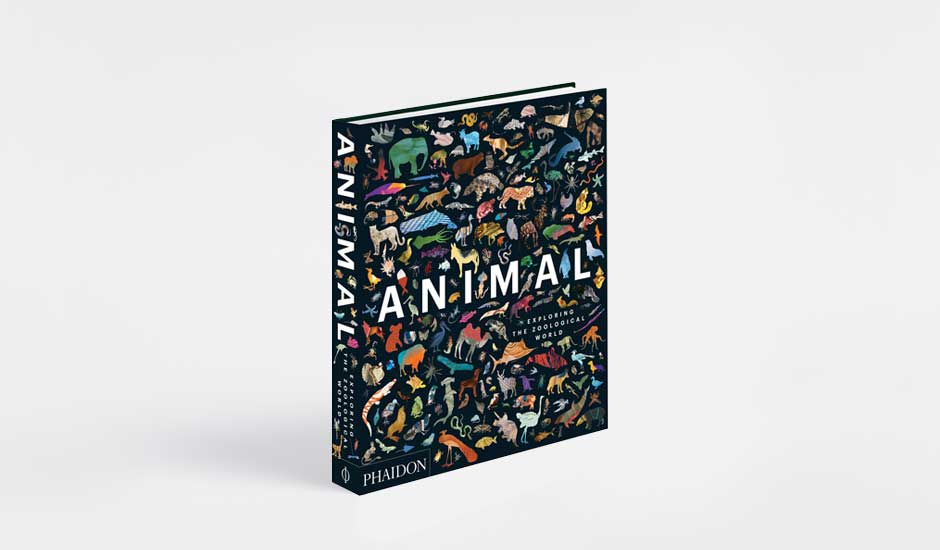 Animal: Exploring the Zoological World