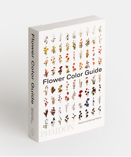 Flower Color Guide