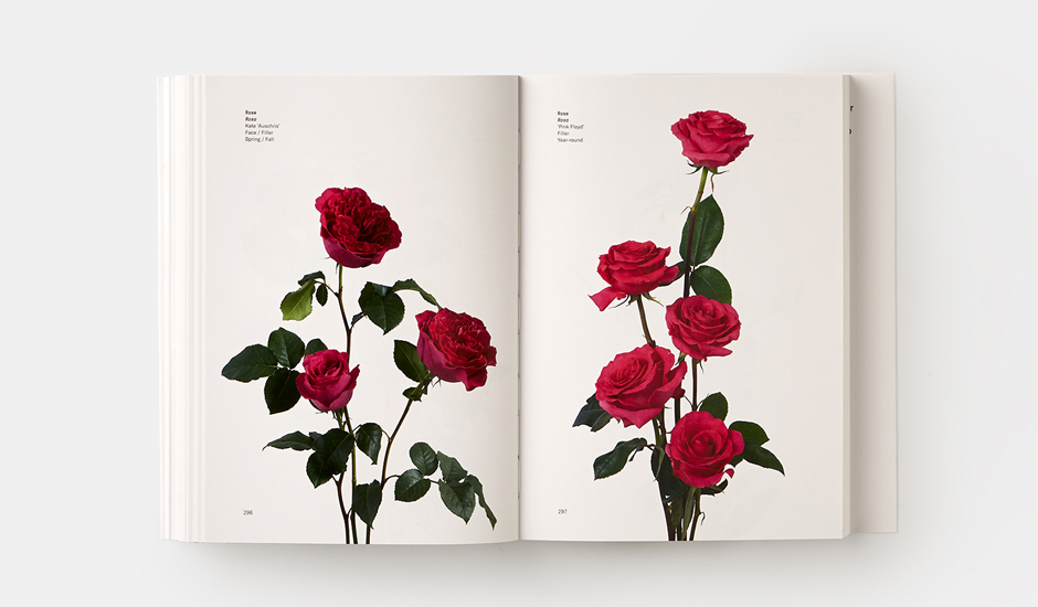 A spread from Flower Color Guide