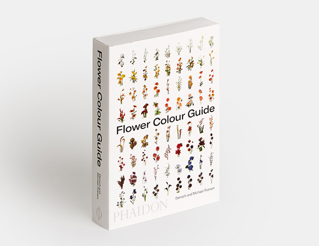 Flower Color Guide