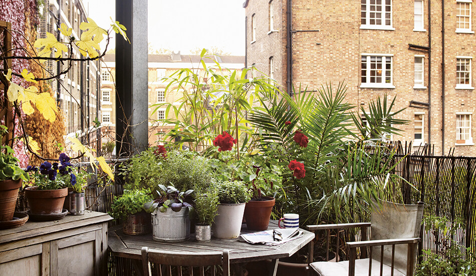 A container kitchen garden