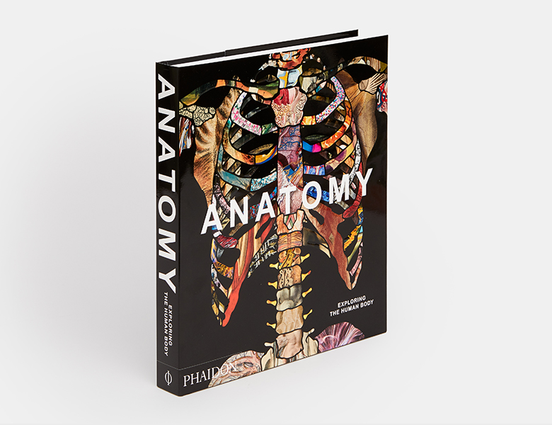 Anatomy: Exploring the Human Body