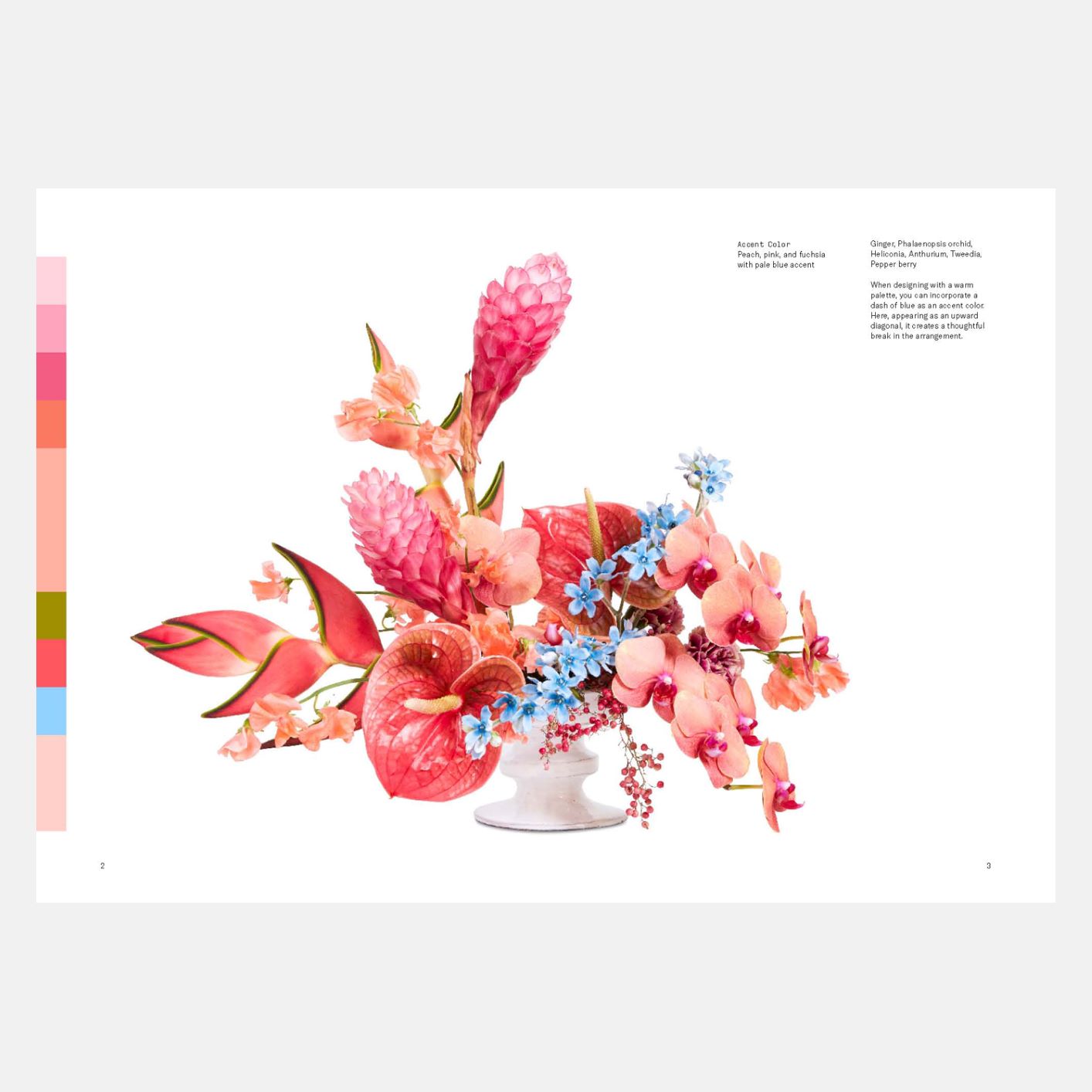 A spread from Flower Color Theory