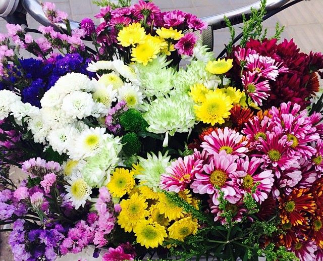 Flowers in Ai's bicycle basket