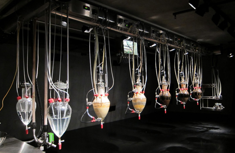 Wim Delvoye, <em>Cloaca</em>, the installation that turns food into feces built specifically for the Museum of Old and New Art