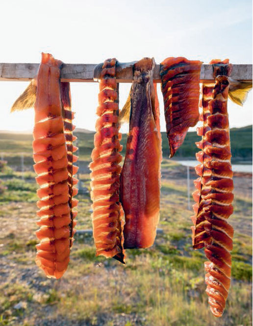 Traditionally air-dried char (Pittiq). From Wildness.