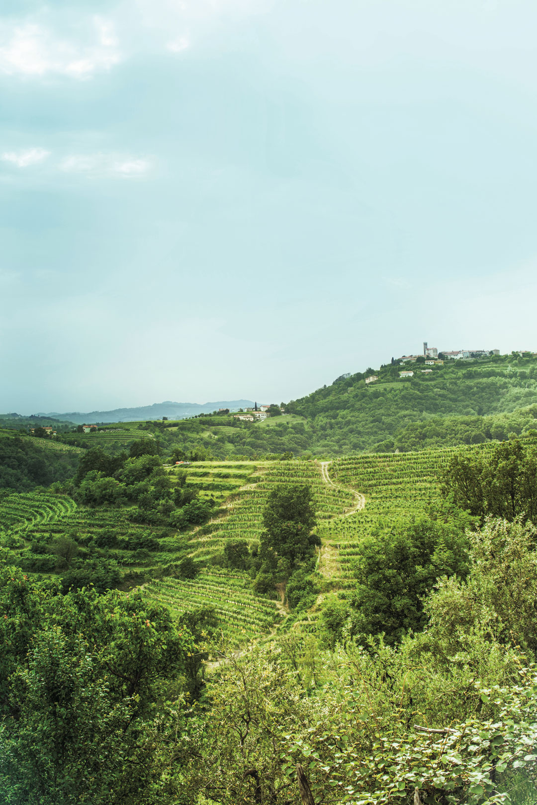 The Slovenian countryside near Hiša Franko