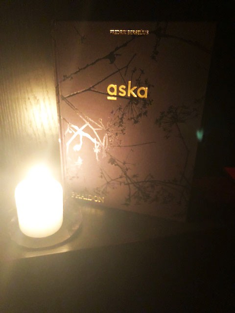 Our book Aska at Aska - photo Whitney Maxwell, Artspace