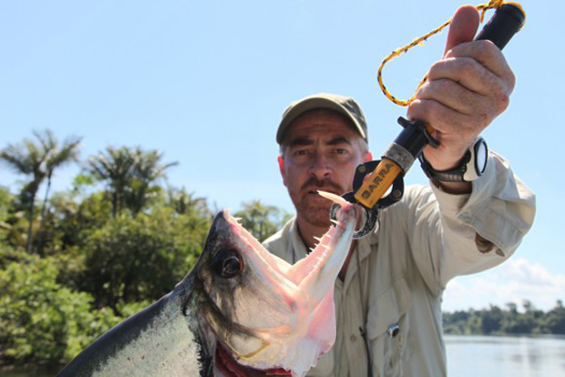 Atala fishing on the Amazon