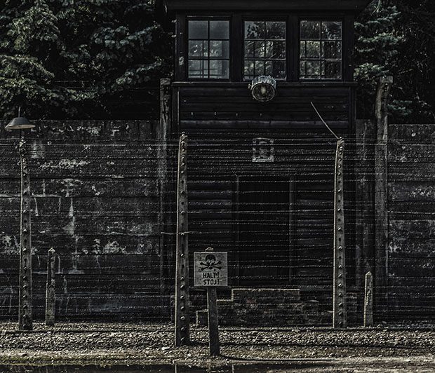 Auschwitz by Beatriz Rocha
