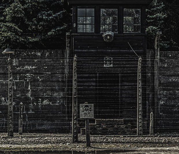 Auschwitz by Beatriz Rocha