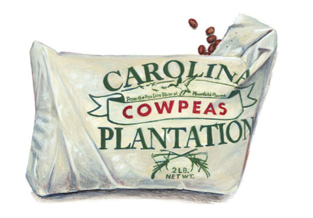 Cowpeas from The Taste of America - illustration by Joel Penckman