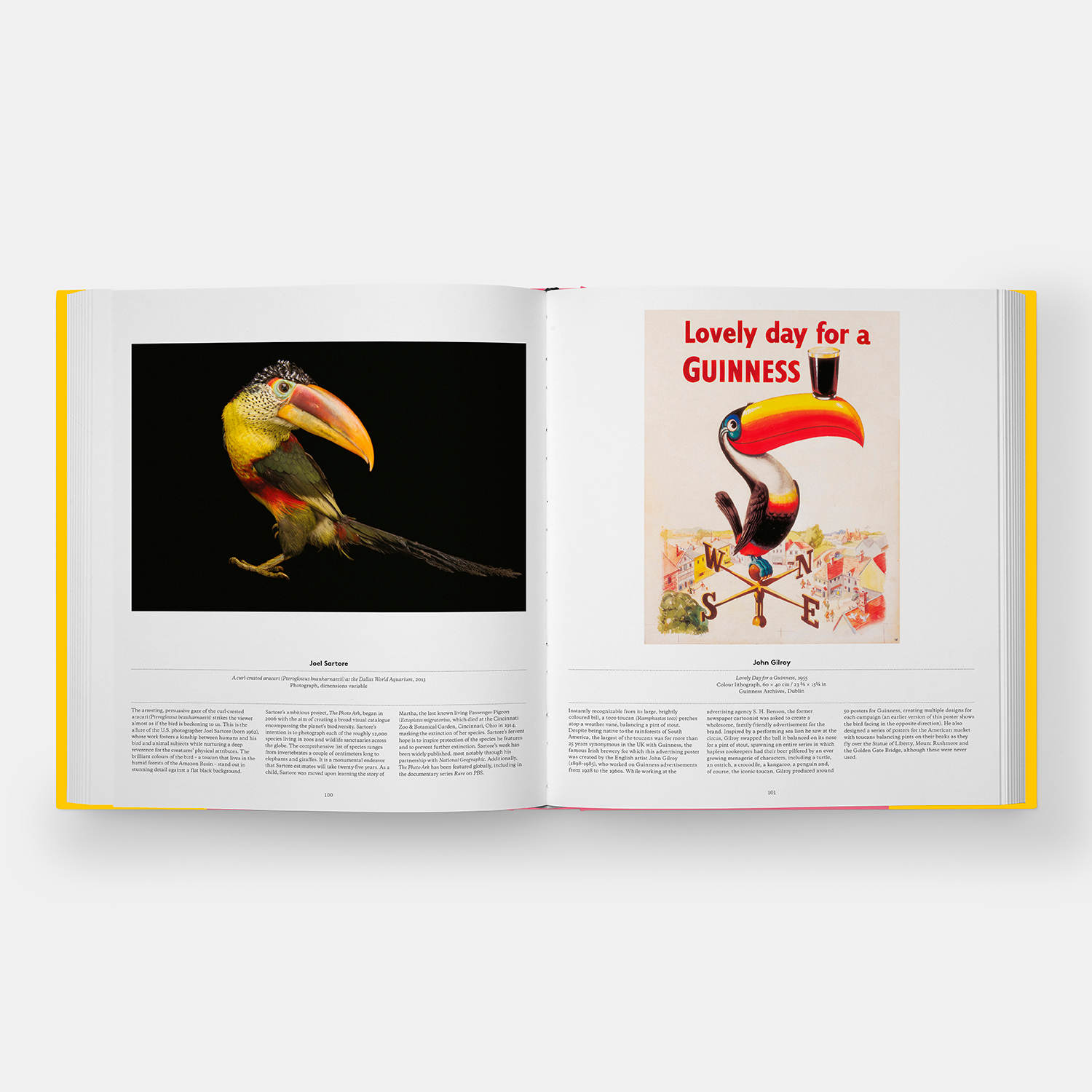 All you need to know about Bird art Agenda Phaidon picture photo