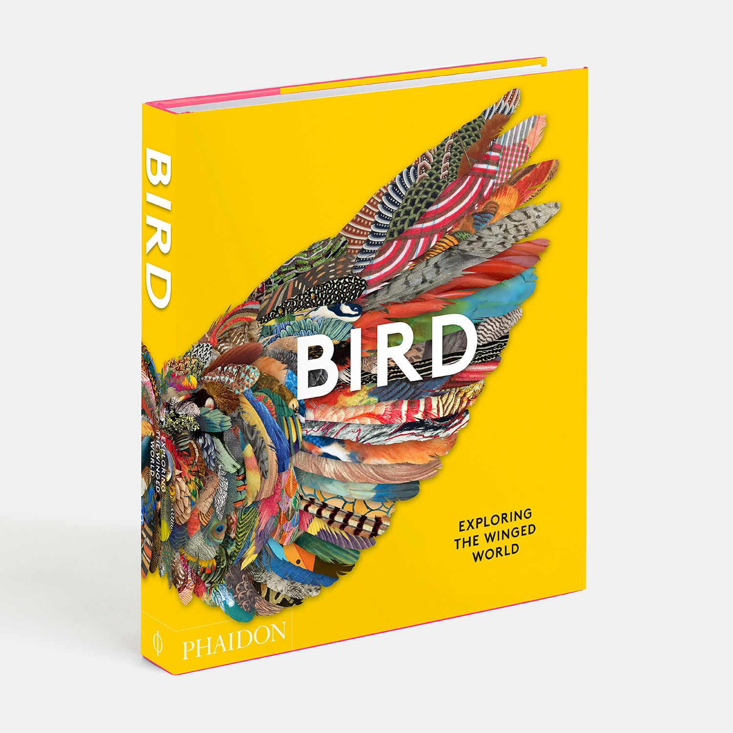 Bird: Exploring the Winged World 