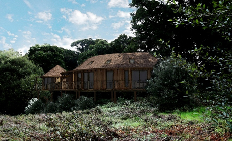 Blue Forest's tree-house suites