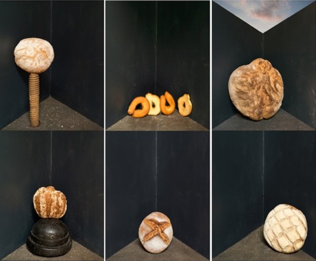 Joel Meyerowitz goes big on Cézanne | photography | Agenda | Phaidon