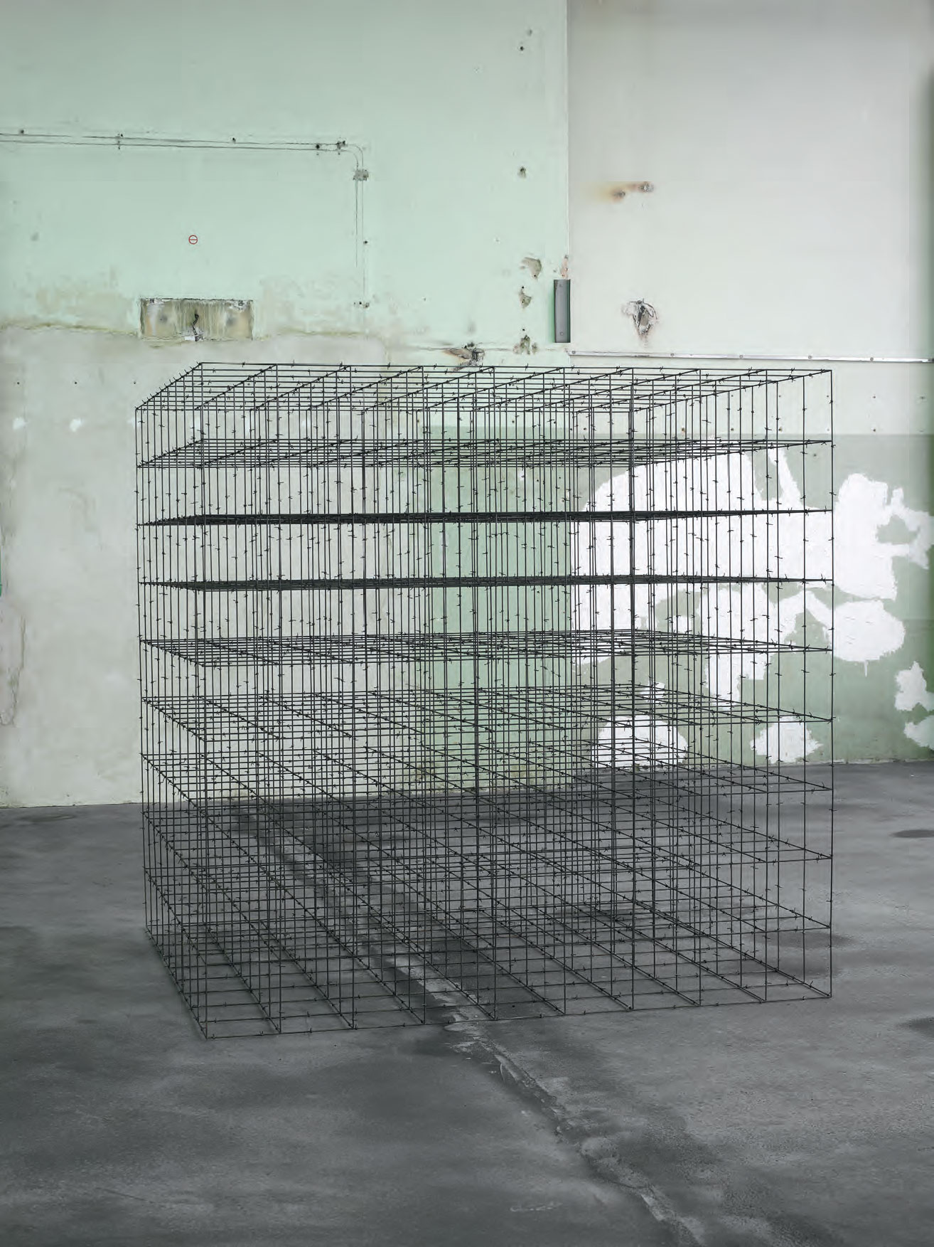 Cube (2008) by Mona Hatoum. As reproduced in our Contemporary Artist Series book
