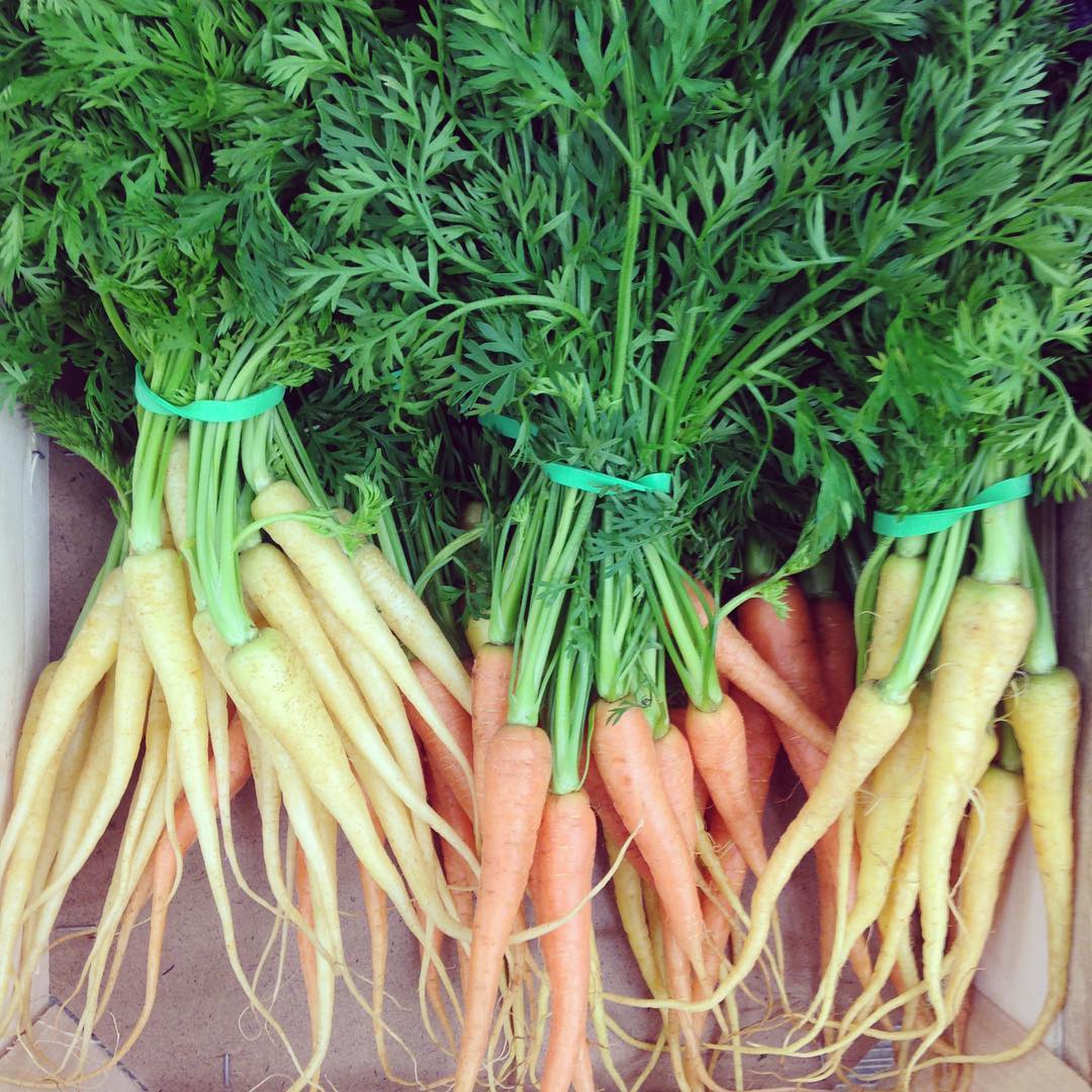Fresh carrots. Image courtesy of Rosie Reynolds' Instagram (@rrfoodstyle)