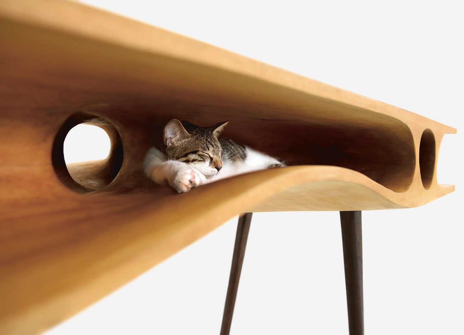 These cat homes will make your home look good too