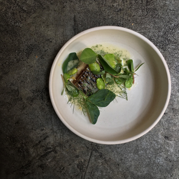 Charred mackeral, fava beans, and fennel sauce. Image courtesy of Contra