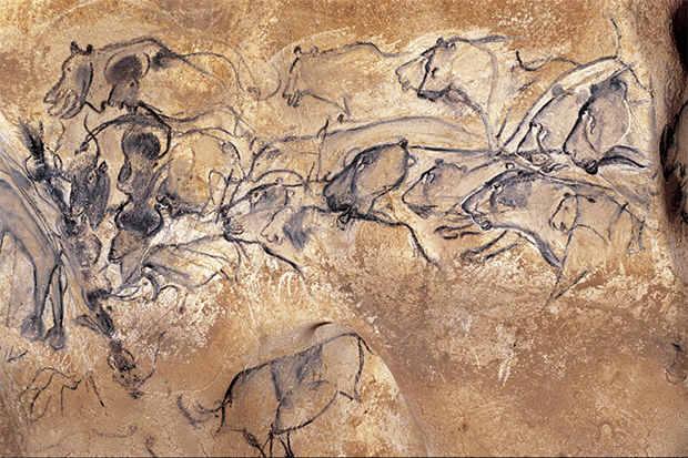 New Spider Species Discovered In Indiana Cave, Smart News