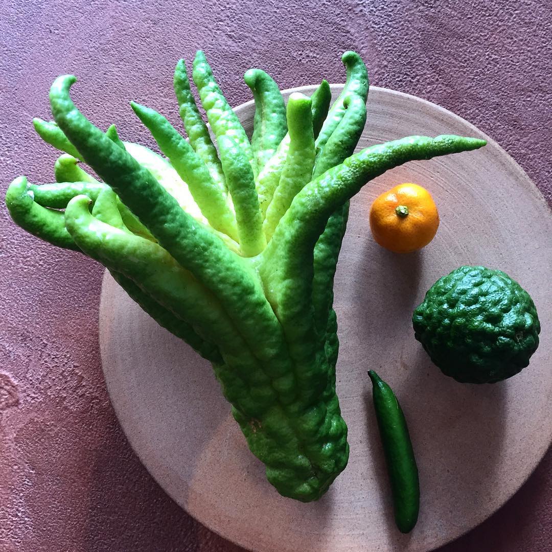Buddhas hand, kalamansi, makrut lime and finger lime. Image courtesy of René Redzepi's Instagram
