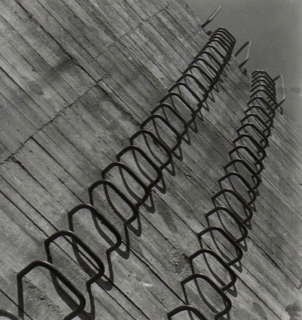 Jerzy Lewczy?ski Wolf's Lair / Adolf Hitler's War Headquarters 1960 courtesy Gallery Asymetria © Jerzy Lewczy?ski