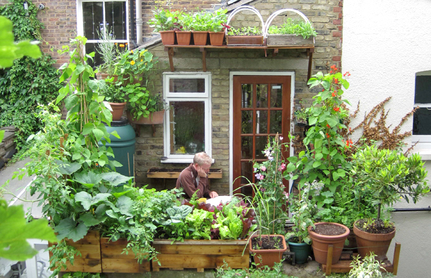 Foodie futures: predicting the trends of 2011