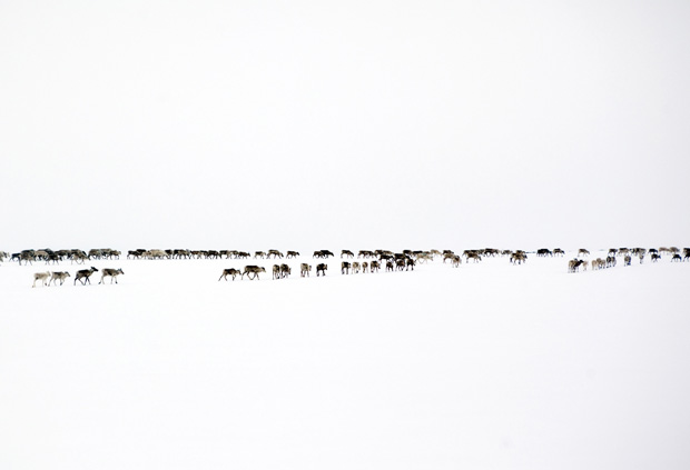 Erika Larsen spent four years in Scandinavia documenting the Sámi people