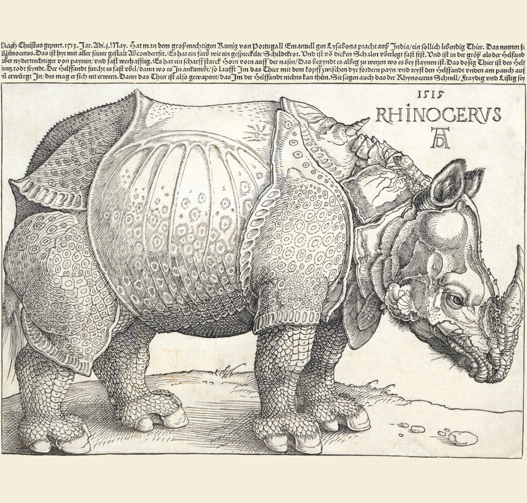 Rhinoceros - Albert Dürer from the book Animal: Exploring the Zoological World
