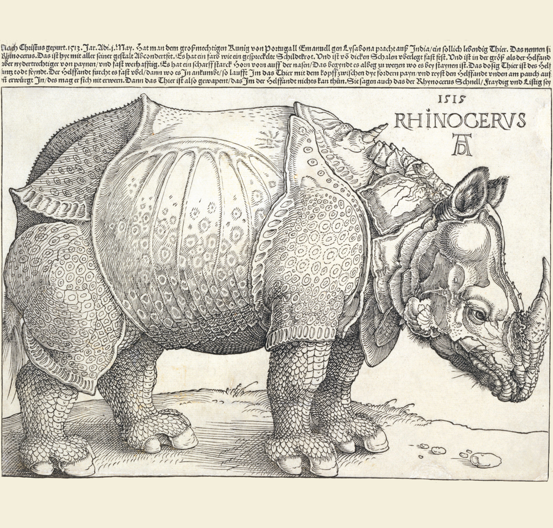 Rhinoceros - Albert Dürer from the book Animal: Exploring the Zoological World