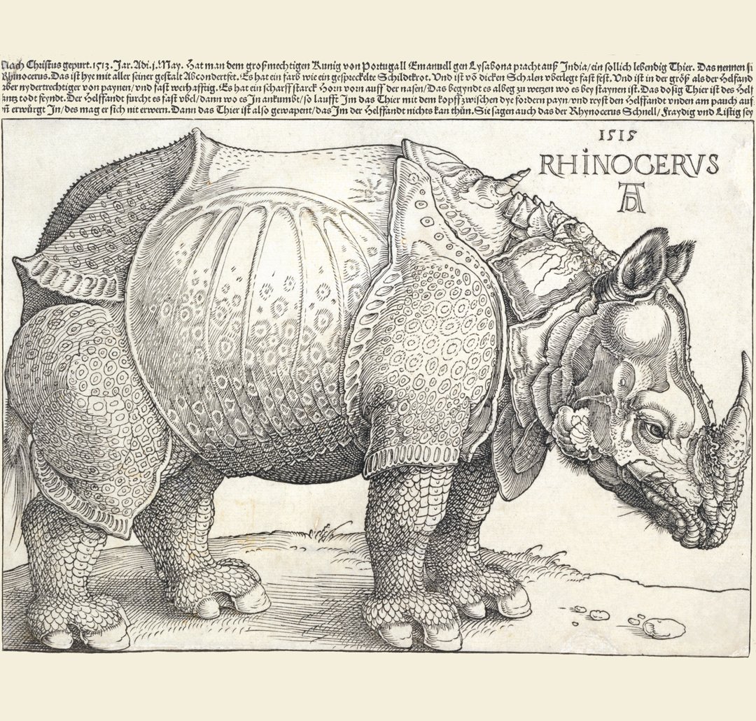 Rhinoceros - Albert Dürer from the book Animal: Exploring the Zoological World
