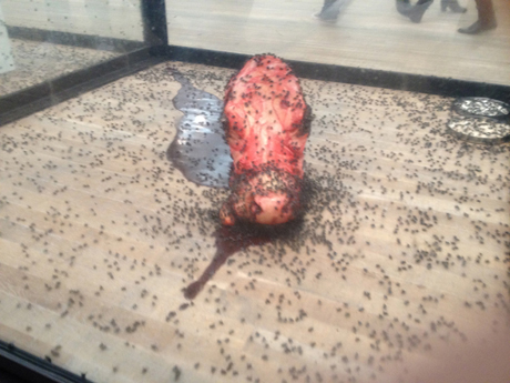 Damien Hirst