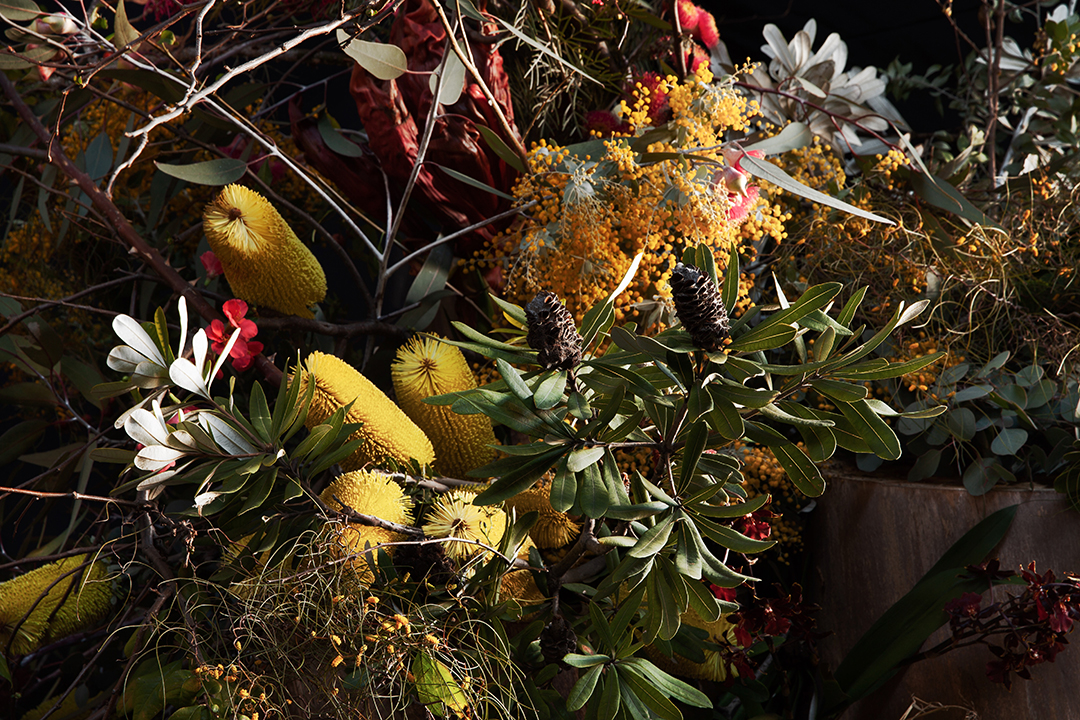 Native floral design using silver princess flowering
gum, golden wattle, banksia and gymea lilies - Cecilia Fox