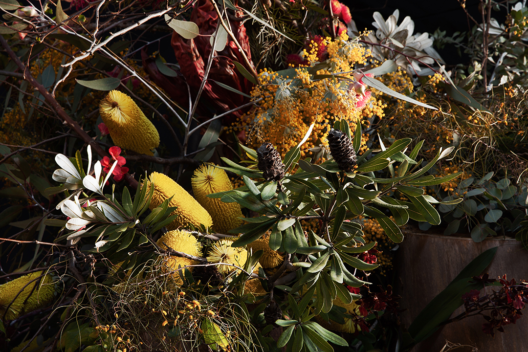 Native floral design using silver princess flowering
gum, golden wattle, banksia and gymea lilies - Cecilia Fox