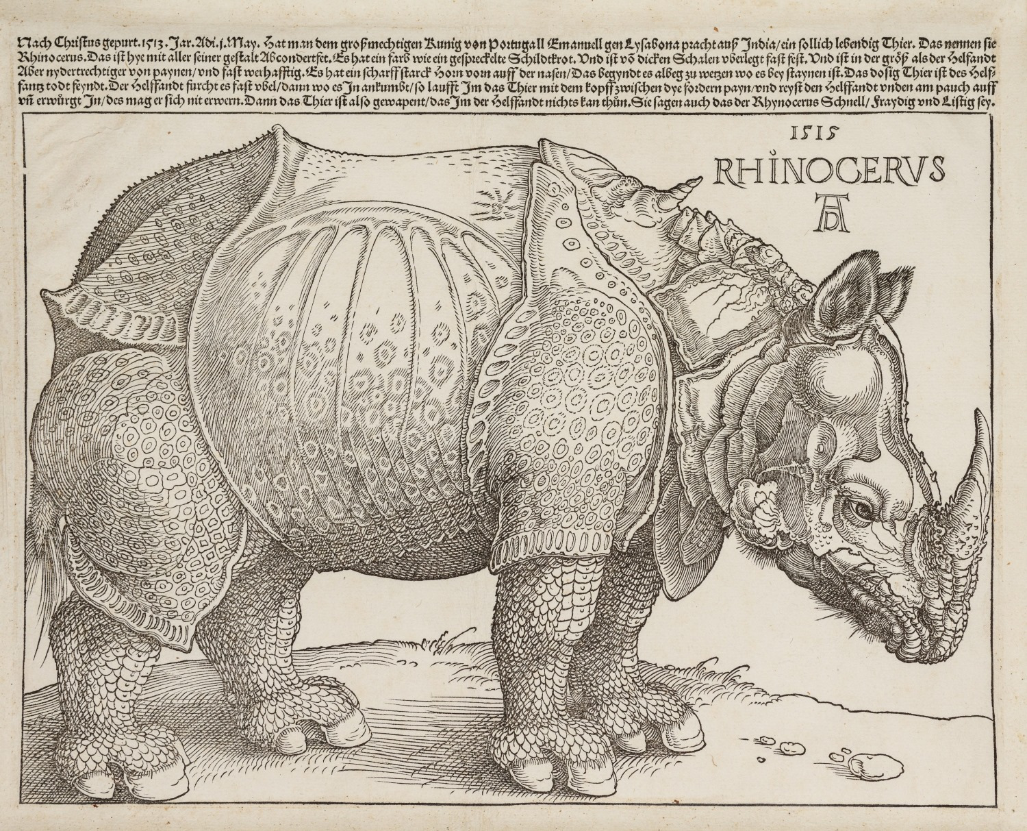 The Rhinoceros (1515) by Albrecht Dürer. Holzschnitt Kunstsammlungen der Fürsten Waldburg-Wolfegg, Schloss Wolfegg Photo: Wynrich Zlomke