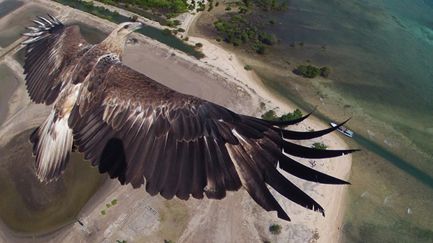 Capungaero's winning image in Dronestagram's recent photo competition, taken in Bali Barat National Park, Indonesia