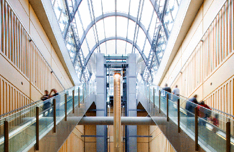 HASSELL, Epping to Chatswood Rail Link, Sydney
