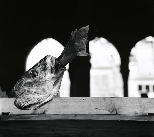 Venice, 1949 by Elliott Erwitt