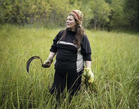 Erika Larsen, <em>Sámi</em>