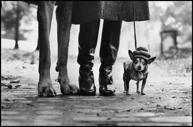 Elliott Erwitt, New York (1974) from Le Mois de la Photo's Subtle Strangeness exhibition