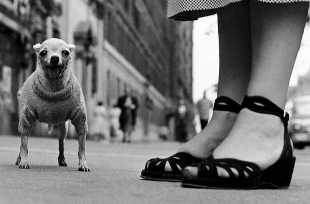 New York City, 1946 by Elliott Erwitt