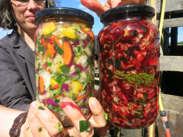 Studio Olafur Eliasson's kitchen's wild-fermented sauerkraut, June 2016